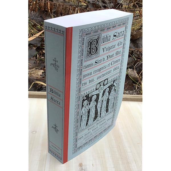 Amazon.fr - Biblia Sacra Vulgata - Gryson, R. - Livres